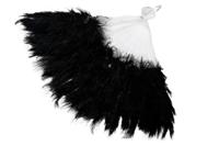 Waaier zwart - thumbnail