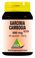 SNP Garcinia cambogia 500mg puur 30 Vegetarische capsules - thumbnail