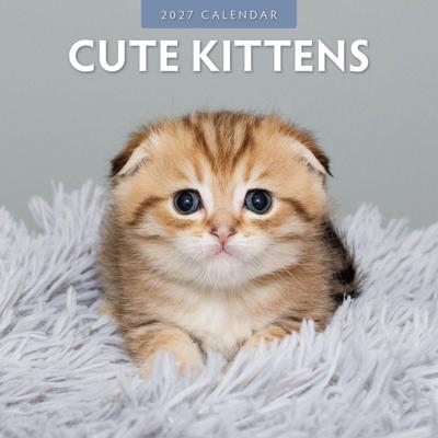 Cute Kittens Kalender 2027