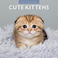 Cute Kittens Kalender 2027 - thumbnail