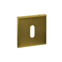 Intersteel Sleutelrozetten verdekt 53x53x6mm PVD messing mat - thumbnail