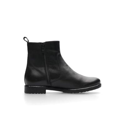 Ara 1239513 - alle Ara 1239513 - alle