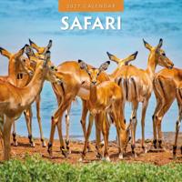 Safari Kalender 2027 - thumbnail