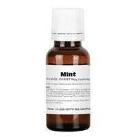 Showtec Rook geurvloeistof mint - thumbnail