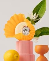 Roger & Gallet Bois D'Orange Wellbeing Soap 100Gram - thumbnail