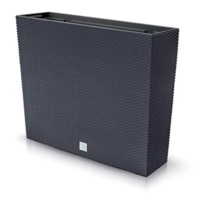 Prosperplast Bloempot Rato Case (Antraciet, 580x180x498) Prosperplast Bloempot Rato Case (Antraciet, 580x180x498)