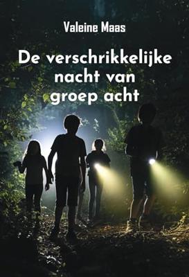 De verschrikkelijke nacht van groep acht - Valeine Maas - ebook
