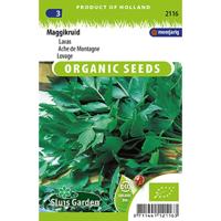 Maggikruid lavas BIO - thumbnail