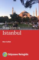 Wandelen in Istanbul (Paperback) - thumbnail