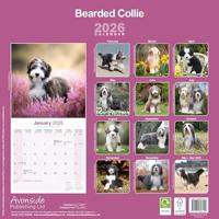 Bearded Collie Kalender 2026 - thumbnail