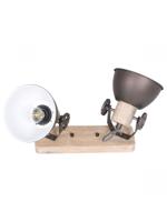 Steinhauer PlafondspotGearwood 2-lichts - 7969A - thumbnail