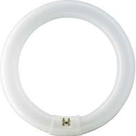 Philips Ronde TL 32W/840 TLE Coolwhite Philips 5900612