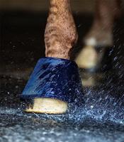 Waldhausen Waterboot springschoenen blauw maat:m - thumbnail