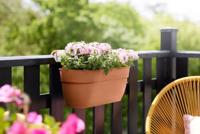 Elho vibia campana easy hanger large terra - thumbnail