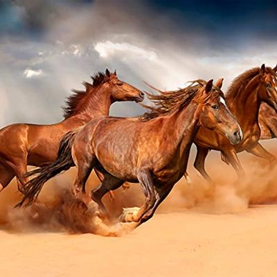 Fotobehang - Galopperende Paarden in de Woestijn, 11 maten, premium print, inclusief behanglijm
