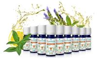 Puressentiel Eo Eucalypt.rad.bio Exp.10ml - thumbnail
