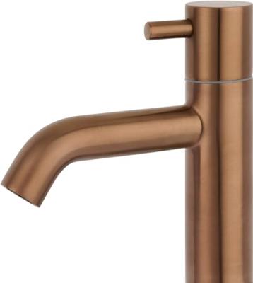 Saqu Eurotrend fonteinkraan met greep geborsteld koper