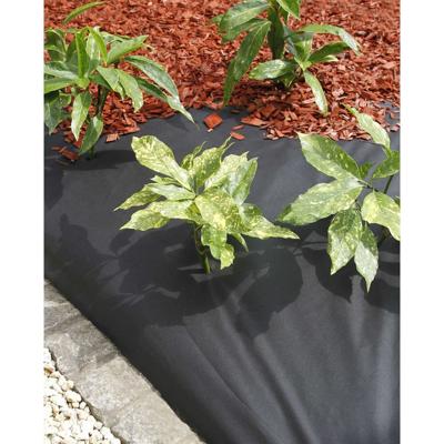 Nature anitworteldoek 120 g/m² 1x10 m zwart