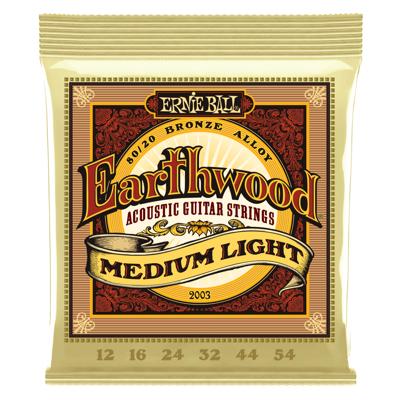 Ernie Ball Earthwood Acoustic 80/20 Medium Light 2003