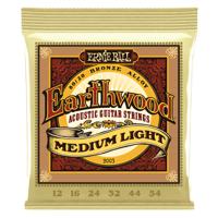 Ernie Ball Earthwood Acoustic 80/20 Medium Light 2003 - thumbnail