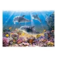 Castorland legpuzzel dolphins underwater, 500st. - thumbnail