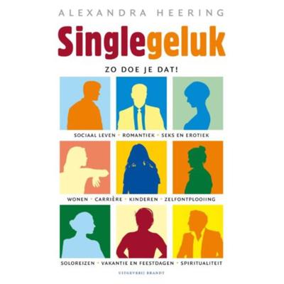 Single geluk (Paperback)