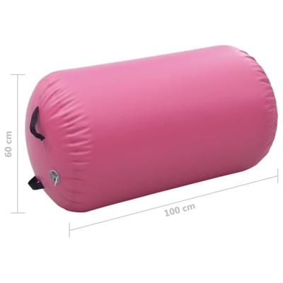 VidaXL Gymnastiekrol met pomp opblaasbaar 100x60 cm pvc roze