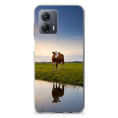 Motorola Moto G53 | TPU Hoesje | Koe