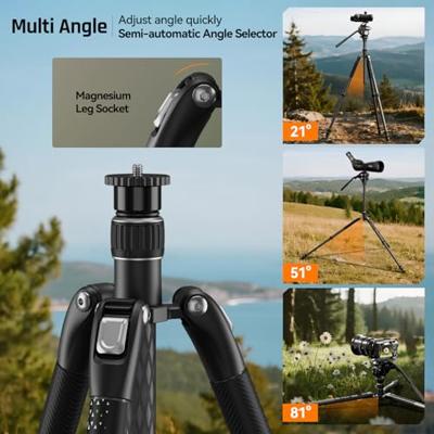 SIRUI Europe Sirui Sportich SP024 + B5X Carbon Tripod 1/4 inch Werkhoogte: 31 - 159 cm Carbon Incl. tas