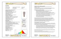 LED lamp Edison dimbaar 250 Lumen 6W E27 filament grijs Segula - thumbnail