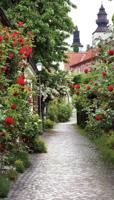 Alley Roses 70x130cm Tuinschilderij Customize-it - Customize it - thumbnail