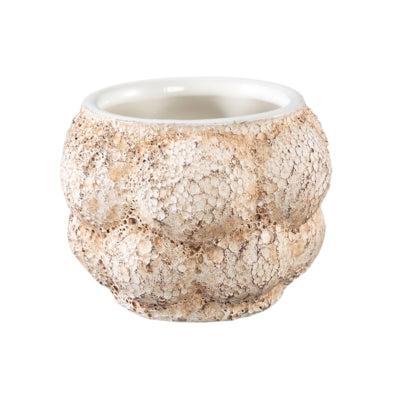 PTMD bloempot fareeda xs créme 9,5 cm | 12 stuks