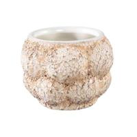 PTMD bloempot fareeda xs créme 9,5 cm | 12 stuks - thumbnail