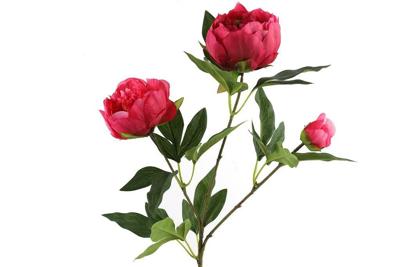 Paeonia kunststof 23x13x73 cm roze kunstbloem II Countryfield - Countryfield Paeonia kunststof 23x13x73 cm roze kunstbloem II Countryfield - Countryfield