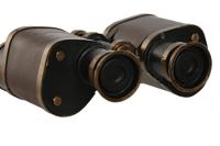 Decoratieve figuren Home ESPRIT Bruin Brons Verrekijker Vintage 17,5 x 16 x 7 cm - thumbnail