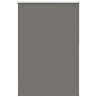 VidaXL Rolgordijn verduisterend 165x210 cm stofbreedte 161,6 cm grijs - thumbnail