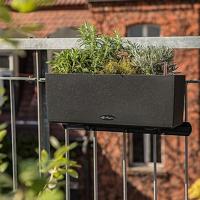 LECHUZA BALCONERA Plantenpot Vrijstaand Polypropyleen (PP) Grafiet Binnen/buiten - thumbnail