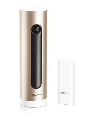 Netatmo DTG-deur- en raamsensor