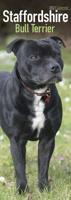 Staffordshire Bull Terrier Kalender 2021 Slimline - thumbnail