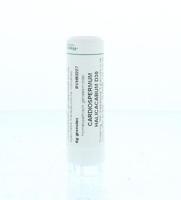 Homeoden Heel Cardiospermum halicacabum D30 6 Gram - thumbnail