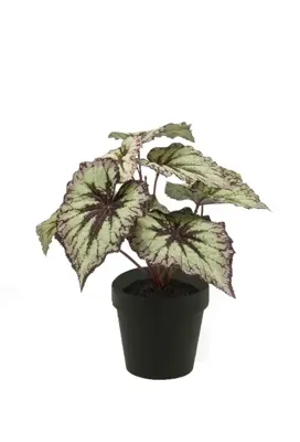 Kunstplant Begonia Grijs Paars in pot - 25cm