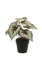 Kunstplant Begonia Grijs Paars in pot - 25cm - thumbnail