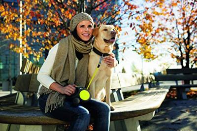 Flexi New Neon S M L Tape rollijn 5 meter M