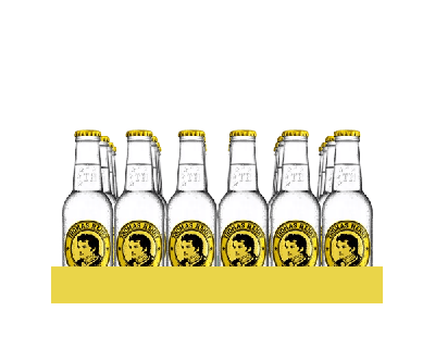 Thomas Henry tonic water flesje (24x 20cl)