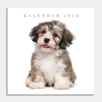 Honden Kalender 2026 - thumbnail