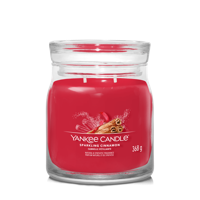 Yankee Candle sparkling cinnamon signature medium jar - thumbnail