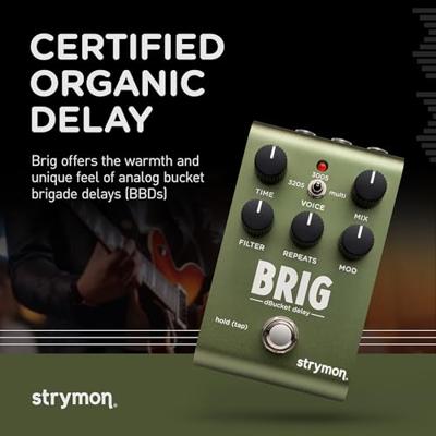 Strymon Brig dBucket Delay effectpedaal