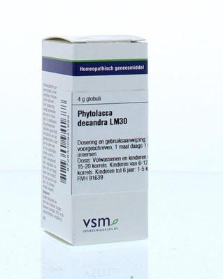 VSM Phytolacca decandra LM30 4 Gram VSM Phytolacca decandra LM30 4 Gram