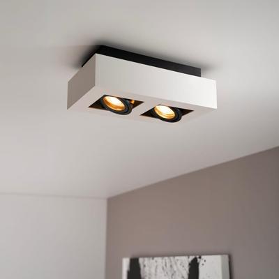 Pollux bianco II by LUSENZ - Rechthoekige 2-lichts plafondlamp met richtbare spots, mat witte coating en zwart interieur