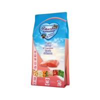 Renske Graanvrij Super Premium vers bereid zalm hondenvoer 2 kg - thumbnail